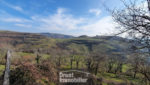 AUBRAC - Maison avec terrain