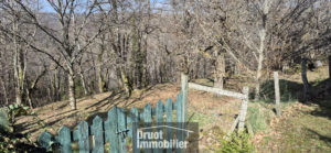 Belle propriété en pierres avec maison d'habitation, dépendances, terrain