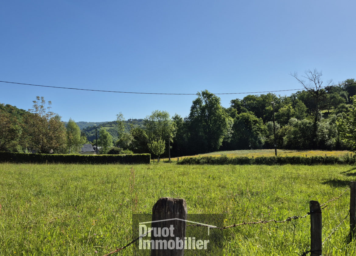 Bessuejouls à 5 minutes d'ESPALION, terrain constructible, plat de 2131 m2