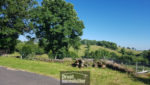  AUBRAC - GRANGE AVEC TERRAIN - ASSAINISSEMENT COLLECTIF
