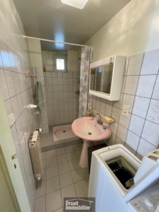  IMMEUBLE A LAGUIOLE (12210)