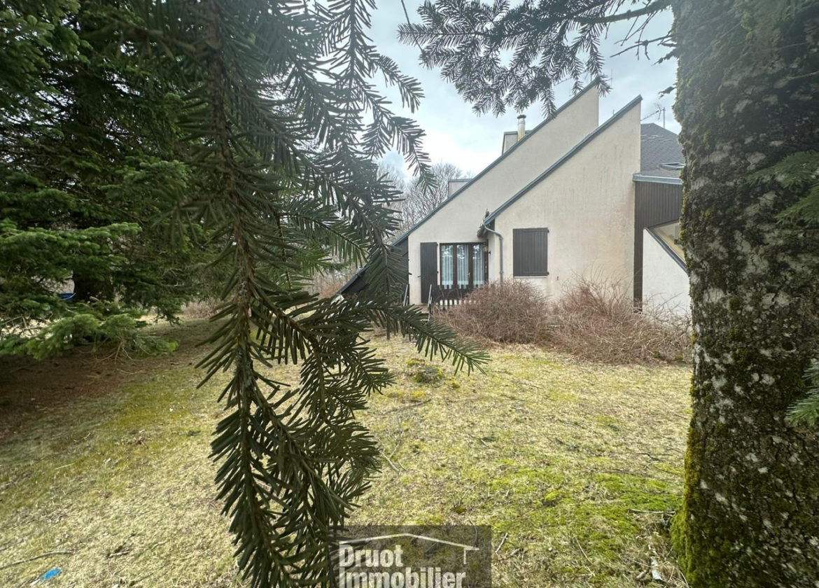 Chalet type3/4 aux pistes de Laguiole