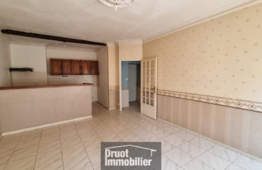 COEUR DE VILLAGE ST GENIEZ D'OLT AUBRAC - DUPLEX AVEC COMBLES ET CAVE
