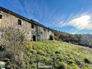 Corps de ferme à 20 minutes d'ENTRAYGUES SUR TRUYERE