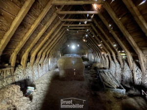 Corps de ferme à 2kms de SAINT AMANS DES COTS