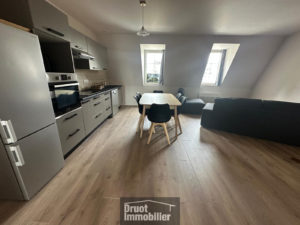 DUPLEX TYPE 4 À LAGUIOLE - ETAT NEUF