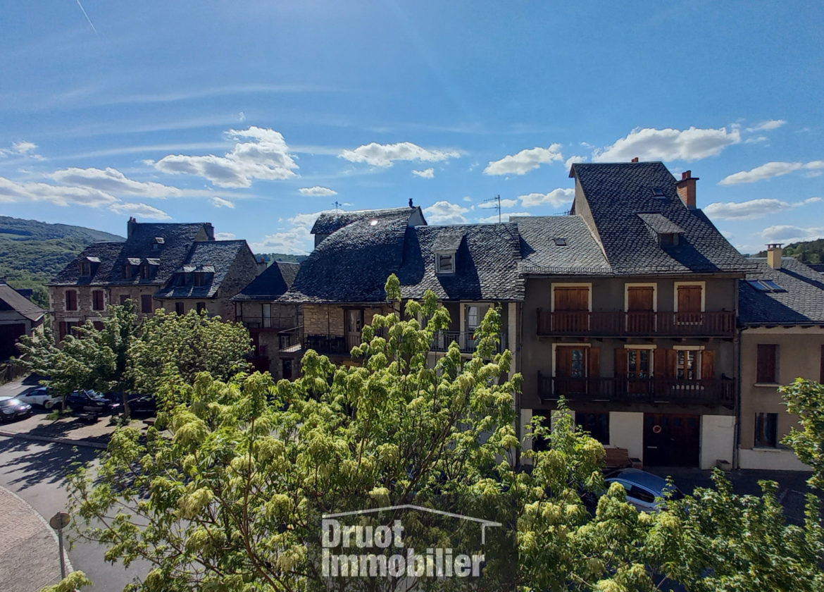 EXCLUSIVITE, immeuble de rapport, SAINT COME D'OLT