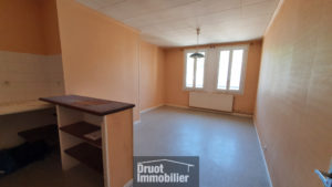 IMMEUBLE- 3 Appartements - 2 locaux commerciaux - Cour intérieure