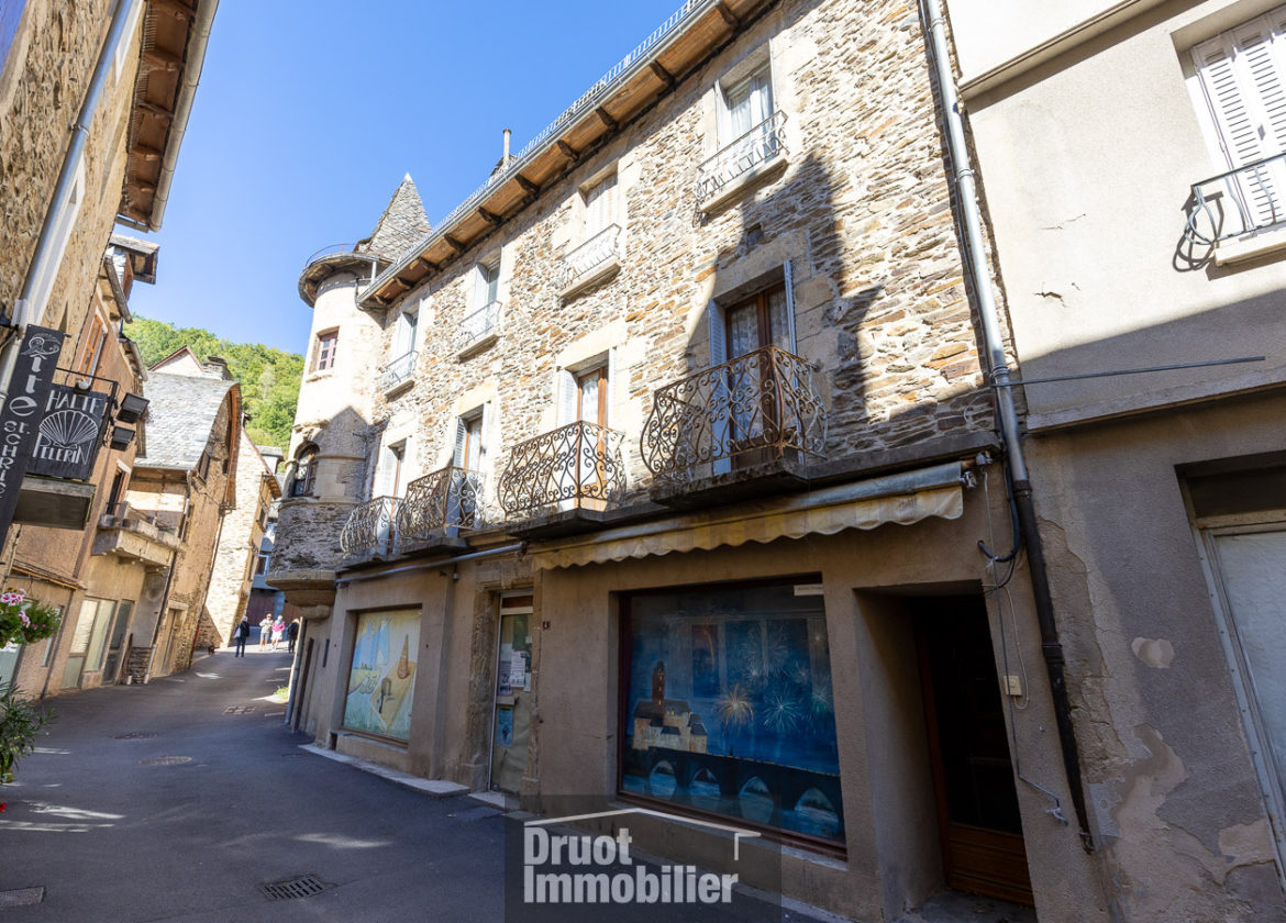 Immeuble de caractère avec terrain - ESTAING