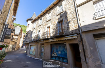 Immeuble de caractère avec terrain - ESTAING