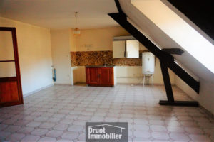 Immeuble en pierres avec jardin et garage
