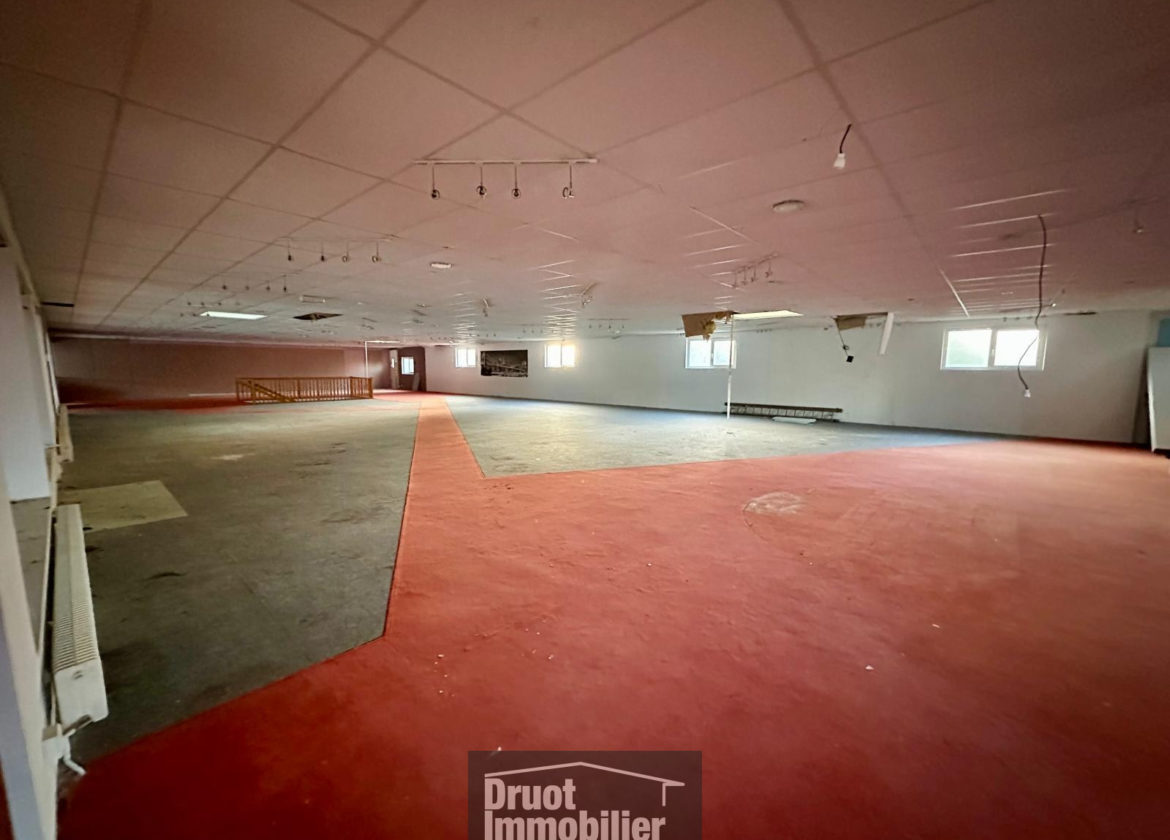 Local commercial - 1356m2