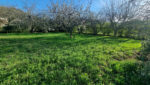 MAISON 222 m2 -garage 50m2 - Hangar 100m2 et TERRAIN de 1499m2