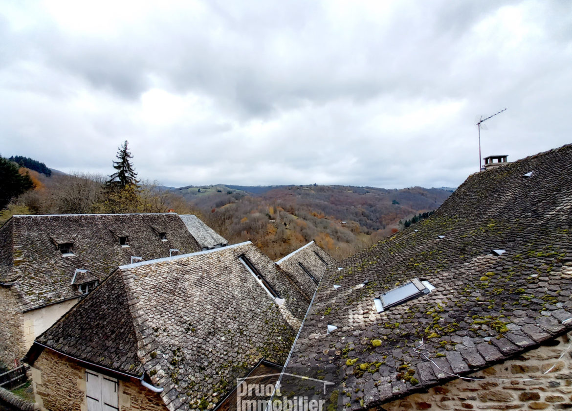 Maison de village en pierres à 20 minutes d'ESPALION