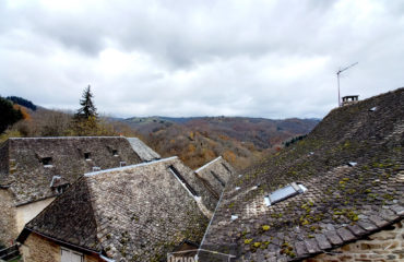 Maison de village en pierres à 20 minutes d'ESPALION