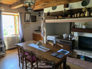 Maison en pierre avec jardin et dépendance