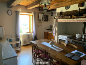 Maison en pierre avec jardin et dépendance