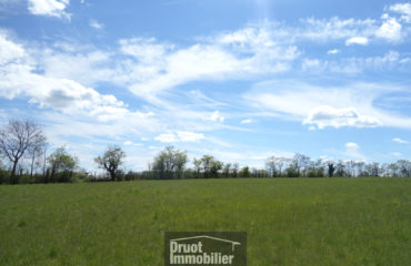Terrain 1195m2 secteur extrêmement prisé - RODEZ