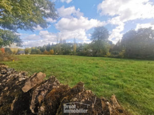 Terrain 3041m2, secteur VABRE