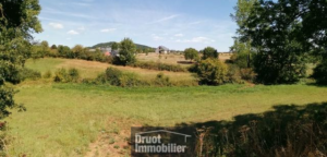 Terrain de 2.500m2