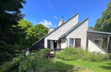 Chalet type3/4 aux pistes de Laguiole