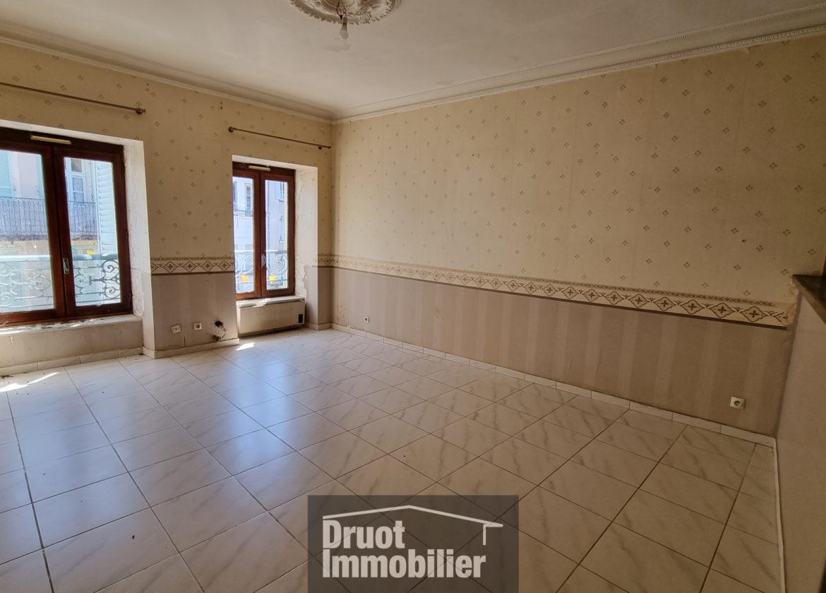 COEUR DE VILLAGE ST GENIEZ D'OLT AUBRAC - DUPLEX AVEC CAVE