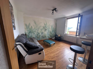 Maison avec cour attenante - LASSOUTS