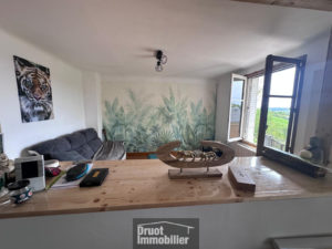 Maison avec cour attenante - LASSOUTS