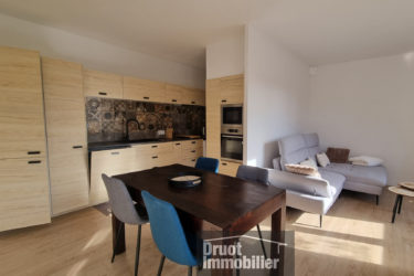 T3 - JARDIN - TERRASSE - SALLE ANNEXE