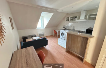 Appart T1 bis Centre ville Espalion