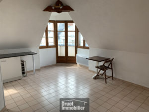 Appartement T1 bis en duplex, centre ville
