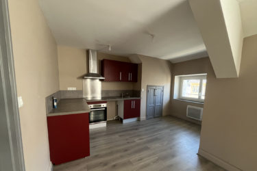 APPARTEMENT T3 RENOVE COEUR DE VILLAGE