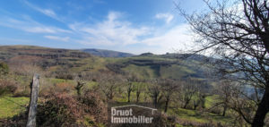 AUBRAC - Maison avec terrain