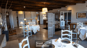 Ensemble immobilier professionnel de charme - Site touristique unique