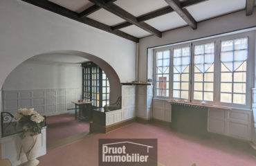 IMMEUBLE - Ancien Hôtel avec appartements- terrasses et garages