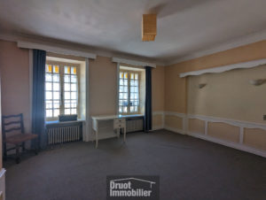 IMMEUBLE - Ancien Hôtel avec appartements- terrasses et garages