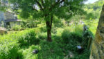 IMMEUBLE - GARAGE - JARDIN