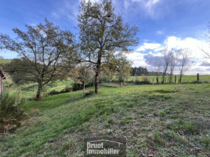 Maison à vendre - Villecomtal