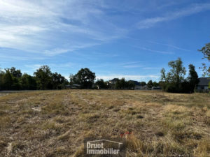 Terrain constructible