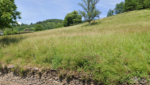 ESTAING, terrain de plus de 2ha, en partie constructible.