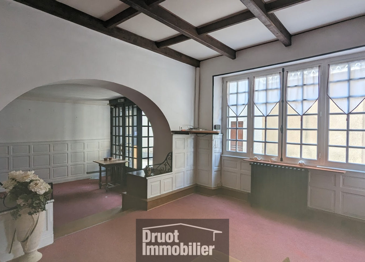 IMMEUBLE - Ancien Hôtel avec appartements- terrasses et garages