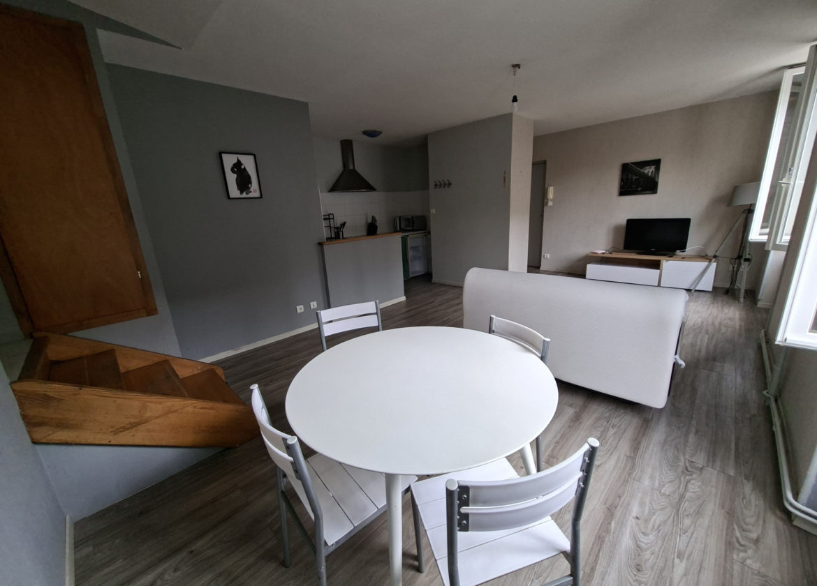 APPARTEMENT T2 MEUBLE ST GENIEZ D'OLT