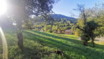 Beau terrain Marcillac