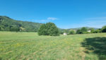 GRANGE - Terrain 1330m2 - avec Reseaux