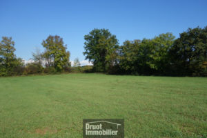 MAGNIFIQUE TERRAIN de 2516m2