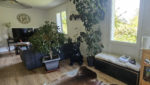 MAISON 110m2 - GARAGE TERRAIN - ST GENIEZ D OLT ET D AUBRAC
