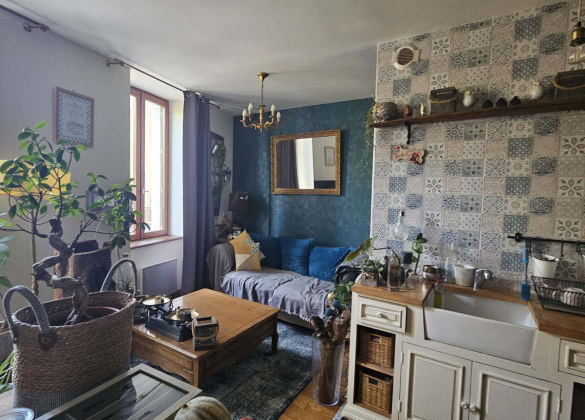 APPARTEMENT - BALCON - CAVE ST GENIEZ D OLT ET D AUBRAC