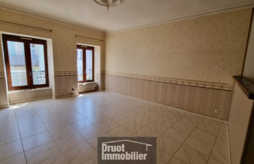 COEUR DE VILLAGE ST GENIEZ D'OLT AUBRAC - DUPLEX AVEC CAVE