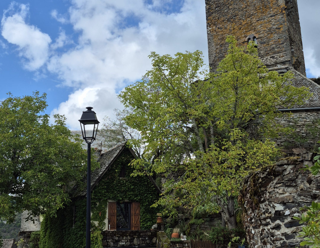 Ensemble immobilier, de caractère, LACROIX-BARREZ