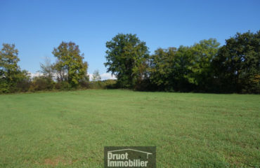 MAGNIFIQUE TERRAIN de 2516m2